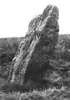One of two standing stones beside the Gray Hill stone circle, Gwent (Monmouthshire)