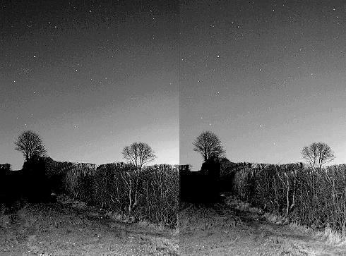 Field and stars at night in 3D