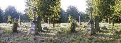 Churchyard gravestones in 3D