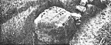 The cup-marked boulder in the North-eastern quadrant of the Crick Barrow, with 17 cup-marks