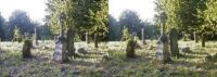 Graveyard Photo 1 (19 KB)