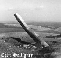 The standing stone on Cefn Gelligaer ridge, Glamorganshire (11 KB)