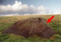 The Badger Stone, Ilkley Moor, West Yorkshire, photographed in July 1988 (126 KB)