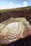 Cauldside Burn spiral rock carving, Kirkcudbrightshire, photographed in June 1990 (128 KB)