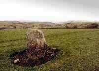 Carreg Hir standing stone near Newtown, Montgomeryshire, photographed in November 1995 (86 KB)
