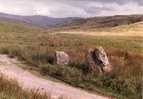Buwch a'r Llo (Cow and Calf) standing stones, Ceredigion, photographed in August 1986 (131 KB)