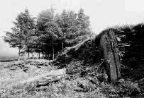 Penywyrlod long cairn, Talgarth, Brecknockshire, photographed in June 1991 (135 KB)