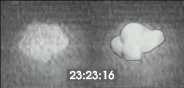 A still-frame of the Nellis UFO at 23:23:16 (in the closing moments of the video), shown alongside the author's model of the UFO