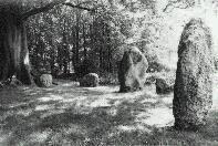 Nine Stones stone circle, Dorset (Photo: May 1990)
