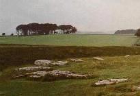 A close-up of the Southern sector of the recumbent circle at Arbor Low, Derbyshire