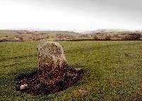 Carreg Hir standing stone near Newtown, Montgomeryshire (Photo: November 1995)