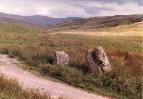Buwch a'r Llo (Cow and Calf) standing stones, Ceredigion (Photo: August 1986)