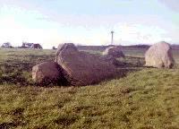 Gwern-y-Cleppa burial chamber, Monmouthshire (Photo: March 1987)
