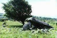 Gors-y-Gedol burial chamber, Merionethshire (Photo: July 1987)