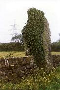 Maenaddwyn standing stone, Anglesey (Photo: July 1987)