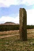 Maen Madoc standing stone, Powys (Photo: May 1987)